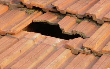 roof repair Elms Green